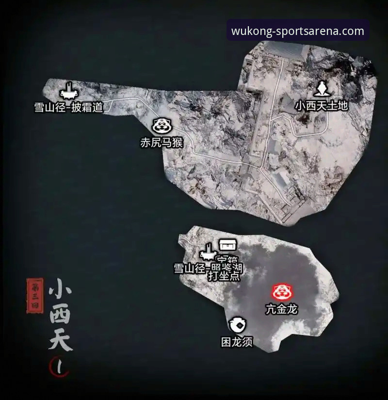 悟空体育平台怎么样？从技术评测角度深度解析与推荐